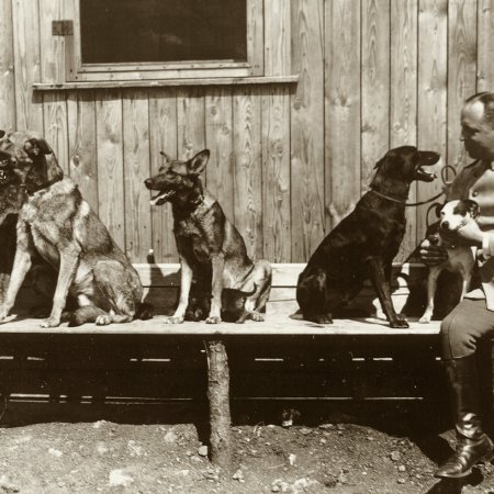138 German Officers With Dogs
