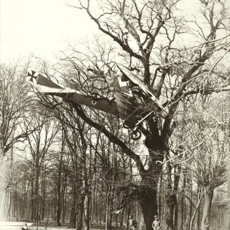 160 Aviatik Pranged In Tree