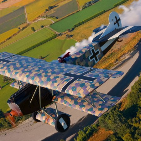 Fokker DVII In Flight