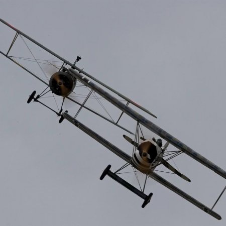 Wrpa Dvii Nieuport 002