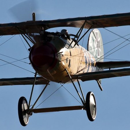 ANZAC 2010 Alex Mitchell 9340