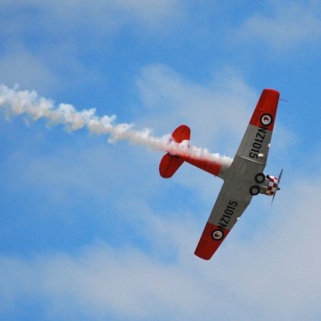 ANZAC 2010 David Saunders Dsc 0116 A