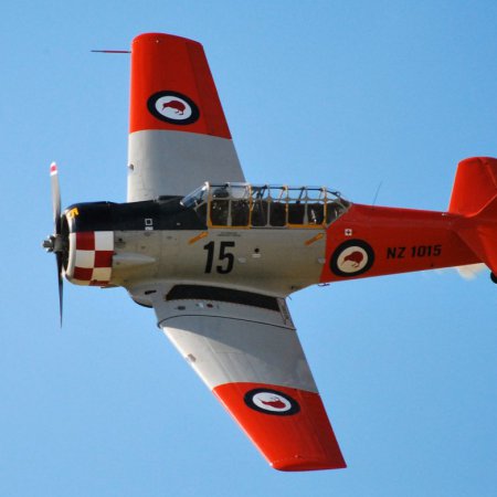 ANZAC 2010 David Saunders Dsc 0127 A