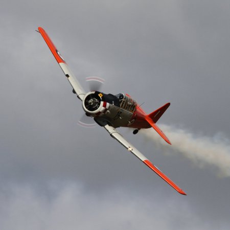 ANZAC 2010 Gavin Conroy 276