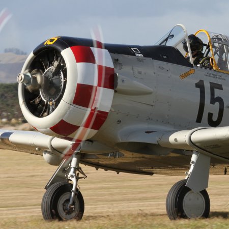 ANZAC 2010 Gavin Conroy 327