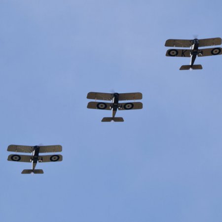 ANZAC 2010 John Freedman TVAL 0499