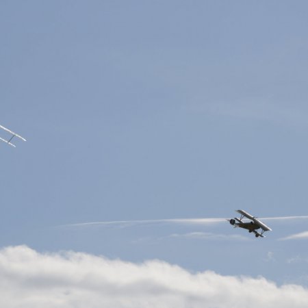 ANZAC 2010 John Freedman TVAL 0815