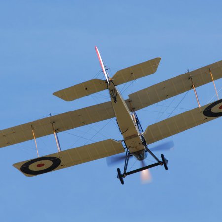 ANZAC 2010 John Freedman TVAL 0858