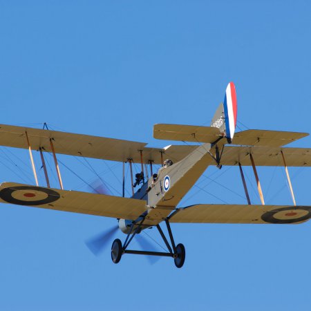 ANZAC 2010 John Freedman TVAL 0870