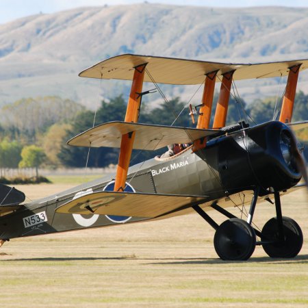 ANZAC 2010 John Freedman TVAL 0878