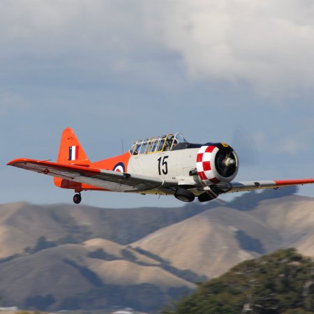 ANZAC 2010 John Freedman TVAL 0928