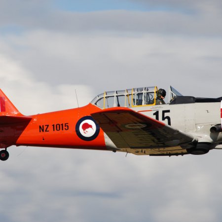 ANZAC 2010 John Freedman TVAL 0930