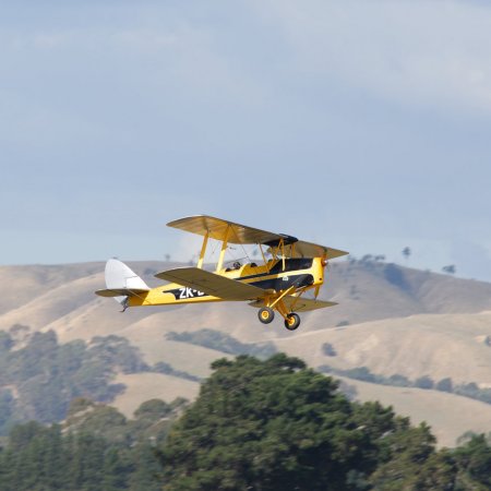 ANZAC 2010 John Freedman TVAL 0933