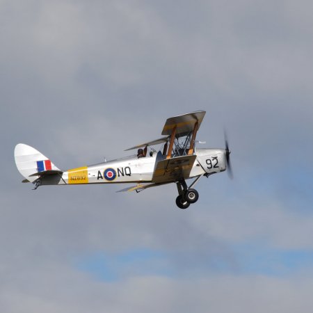 ANZAC 2010 John Freedman TVAL 0940