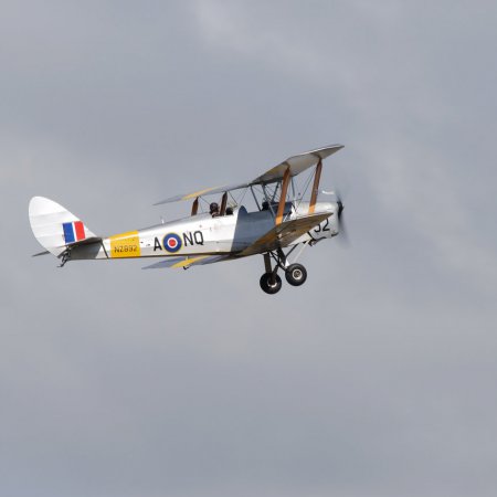 ANZAC 2010 John Freedman TVAL 0942