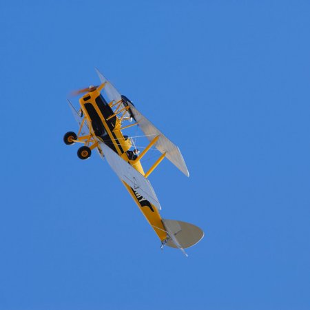 ANZAC 2010 John Freedman TVAL 0947