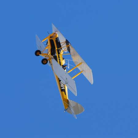 ANZAC 2010 John Freedman TVAL 0948