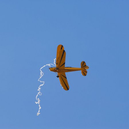 ANZAC 2010 John Freedman TVAL 0960