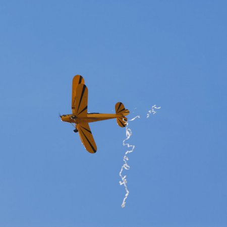 ANZAC 2010 John Freedman TVAL 0961