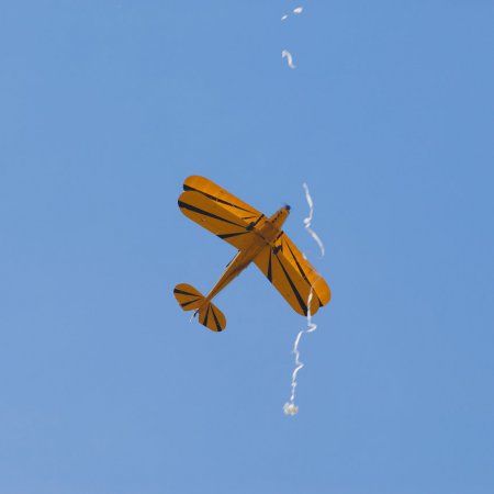 ANZAC 2010 John Freedman TVAL 0962