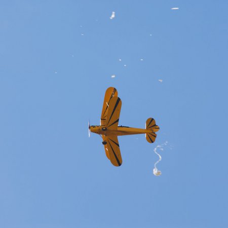 ANZAC 2010 John Freedman TVAL 0968