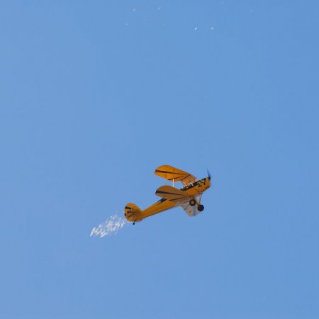 ANZAC 2010 John Freedman TVAL 0970