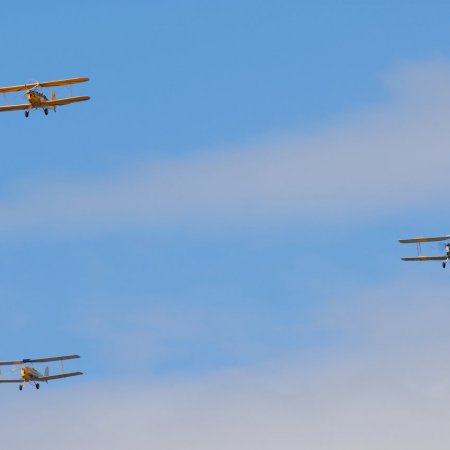 ANZAC 2010 John Freedman TVAL 0992