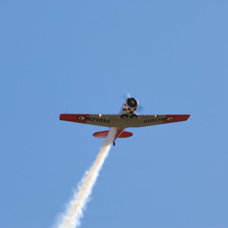 ANZAC 2010 John Freedman TVAL 0998