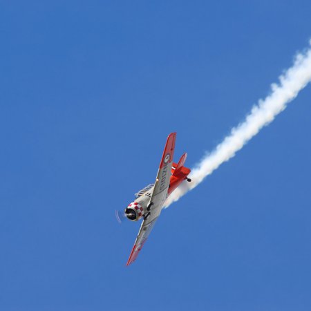 ANZAC 2010 John Freedman TVAL 1000