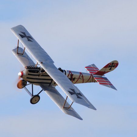 ANZAC 2010 John Freedman TVAL 1253