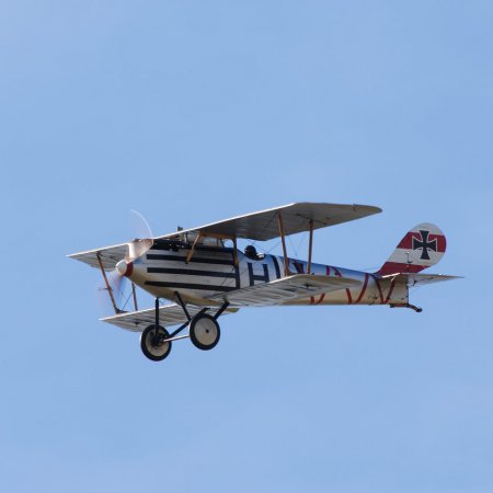 ANZAC 2010 John Freedman TVAL 1270