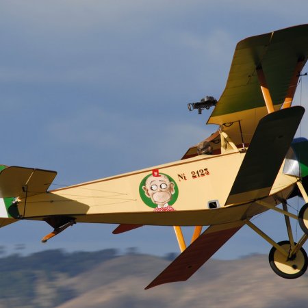 ANZAC 2010 John Freedman TVAL 1292