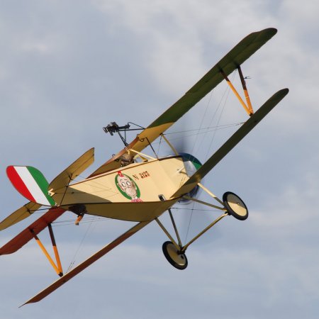 ANZAC 2010 John Freedman TVAL 1296