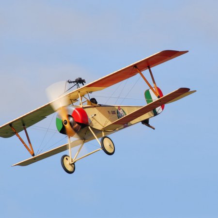 ANZAC 2010 John Freedman TVAL 1318