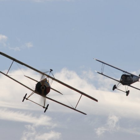 ANZAC 2010 John Freedman TVAL 1337