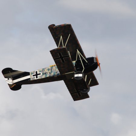 ANZAC 2010 John Freedman TVAL 1347