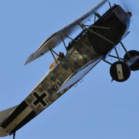 ANZAC 2010 John Freedman TVAL 1366