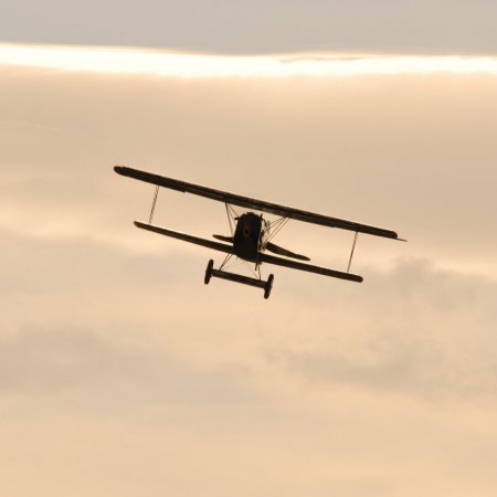 ANZAC 2010 John Freedman TVAL 1374