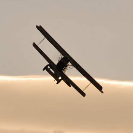 ANZAC 2010 John Freedman TVAL 1375