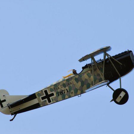 ANZAC 2010 John Freedman TVAL 1383