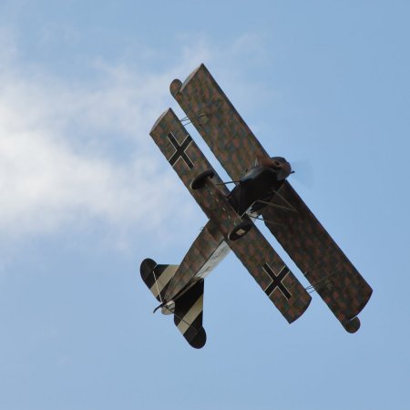 ANZAC 2010 John Freedman TVAL 1403