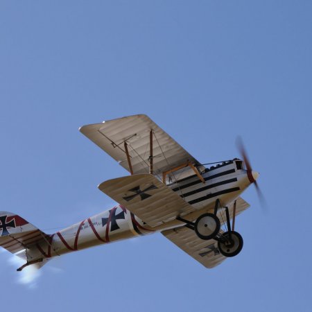 ANZAC 2010 John Freedman TVAL 1423