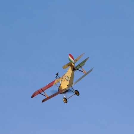 ANZAC 2010 John Freedman TVAL 1429