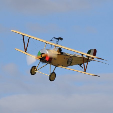 ANZAC 2010 John Freedman TVAL 1431