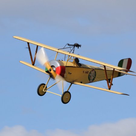 ANZAC 2010 John Freedman TVAL 1433