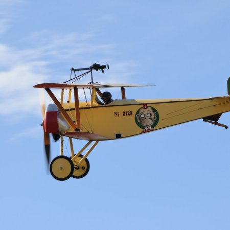 ANZAC 2010 John Freedman TVAL 1441