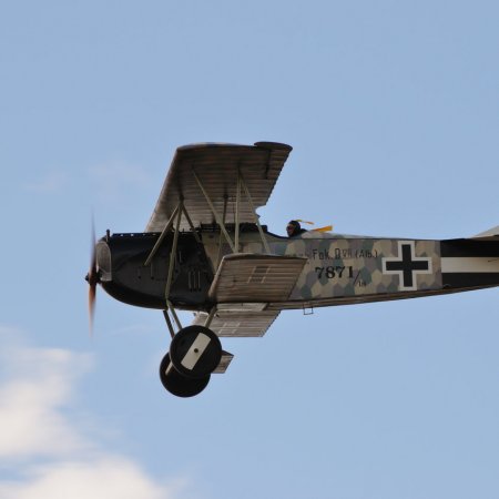 ANZAC 2010 John Freedman TVAL 1457