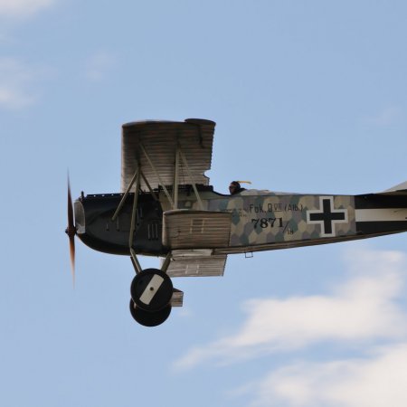 ANZAC 2010 John Freedman TVAL 1458