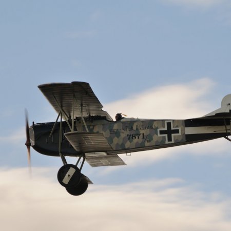 ANZAC 2010 John Freedman TVAL 1459