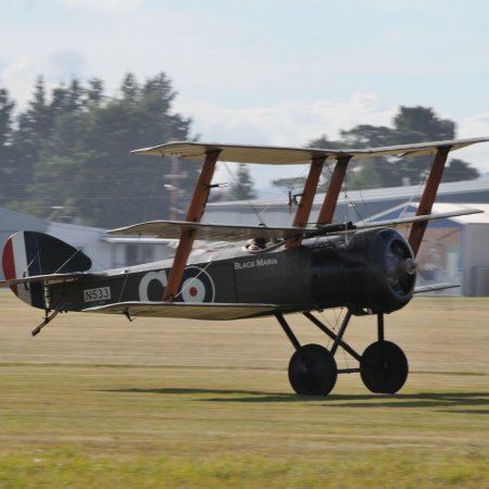 ANZAC 2010 John Freedman TVAL 1473